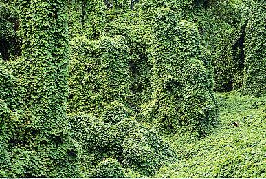 《给他爱5增强版》迎漂移周更新 新增DLSS 4支持与免费载具！